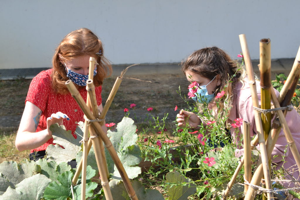 Image représentant des personnes regardant les plantes des jardins de l'UFR STGI Campus de Montbéliard Agglomération