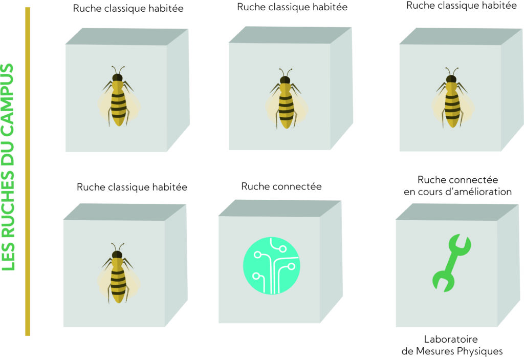 Illustration représentant le nombre des ruches classiques et connectées Campus de Montbéliard Agglomération